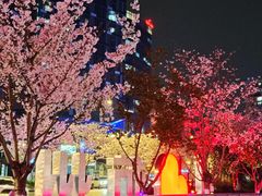 -新天地活力PARK