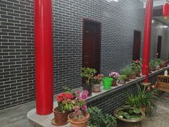 -微山岛春天里酒家