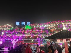 -枇杷园食为鲜火锅(南山店)