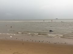 -翡翠岛