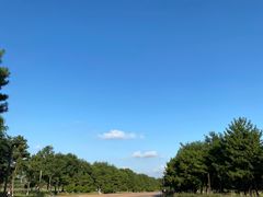 -汉长安城未央宫国家考古遗址公园