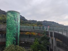 -福道