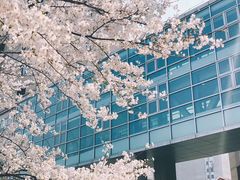-上海交通大学医学院附属瑞金医院(总院)