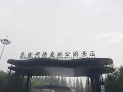 -黄海国家森林公园