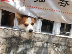 -小梁哥云吞面(黄贝岭店)