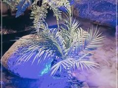 -远洋未来广场(育慧北路店)