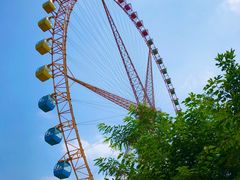 -辛玛王国游乐园