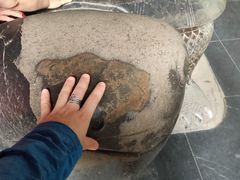 -南岳衡山风景名胜区-南岳大庙