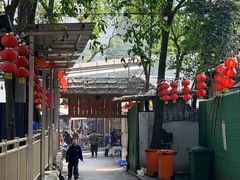 -食神又名厕所兔