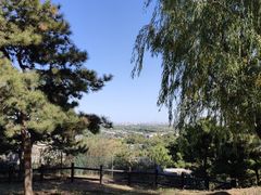 -北京西山国家森林公园