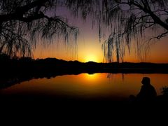 -西湖外事游船(花港观鱼码头)