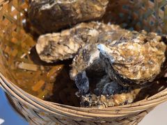 -蚝堡海鲜·威海菜·海肠捞饭·烧烤·亚洲吃蚝公司(幸福门店)