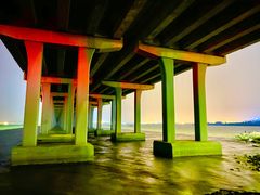 -宝安西湾红树林湿地公园