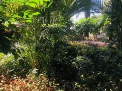 -船政文化景区-罗星塔公园