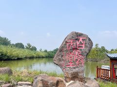 -池杉湖湿地公园