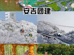 -上海海昌海洋公园