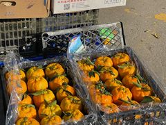 -西北农副产品中心批发市场(广安路店)