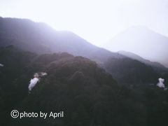 -别府杉乃井酒店