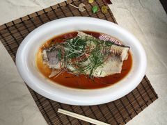 -暖见鱼·自家农场生态鱼