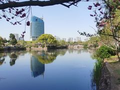 -无锡蠡湖国家湿地公园-蠡园