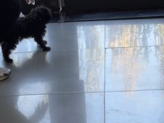 -瑞派宠物医院·24h·骨外科·皮肤科·全科宠物医疗转诊中心(沈阳浑南院)