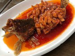 -协和菜馆(凤凰街店)