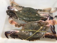 -渔民船说·北塘海鲜·天津菜·海肠捞饭(北塘古镇店)