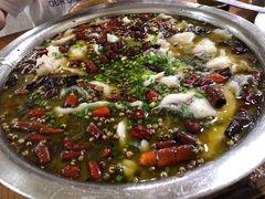 酸菜鱼-陈有良尖椒鸡(渝中旗舰店)