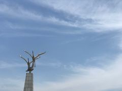 -南大港湿地风景区