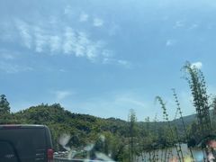 -碧峰峡风景区