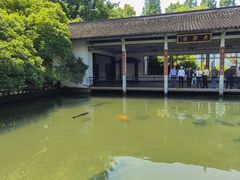 -杭州植物园