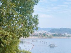 -千岛湖城中湖游船码头