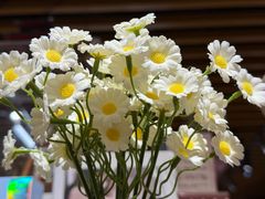 -沪上阿姨·精选茶饮(新奥购物中心店)