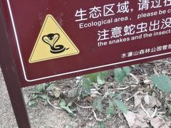 -水濂山森林公园