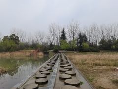 -合肥生态公园
