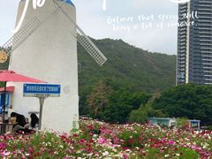 -玫瑰海岸文化旅游度假区