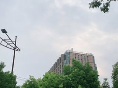 -紫荆广场·花漫里