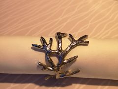 橡木烟熏三文鱼-迪拜帆船酒店海底餐厅