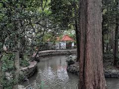 -中山公园