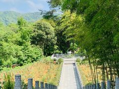 -韶关经律论国际酒店温泉