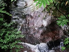 -碧峰峡风景区
