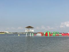 -呼兰河口湿地公园