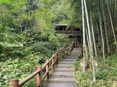 -藏龙百瀑风景区