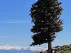 -新疆那拉提国家旅游度假区