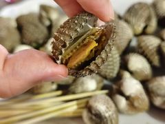 -东海岸人工湖美食村