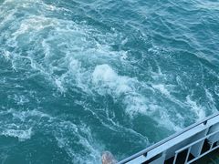 -澳门环岛游湾仔码头