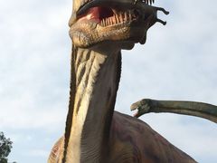 -自贡恐龙博物馆