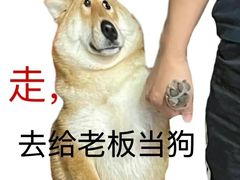 -牛New寿喜烧(金茂览秀城店)
