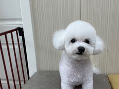 -中农大我爱我爱24h动物医院·中医针灸·猫专科·骨科医疗中心(双井店)