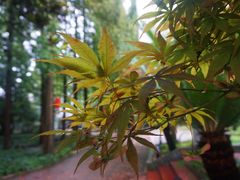 -上海怡沁园度假酒店
